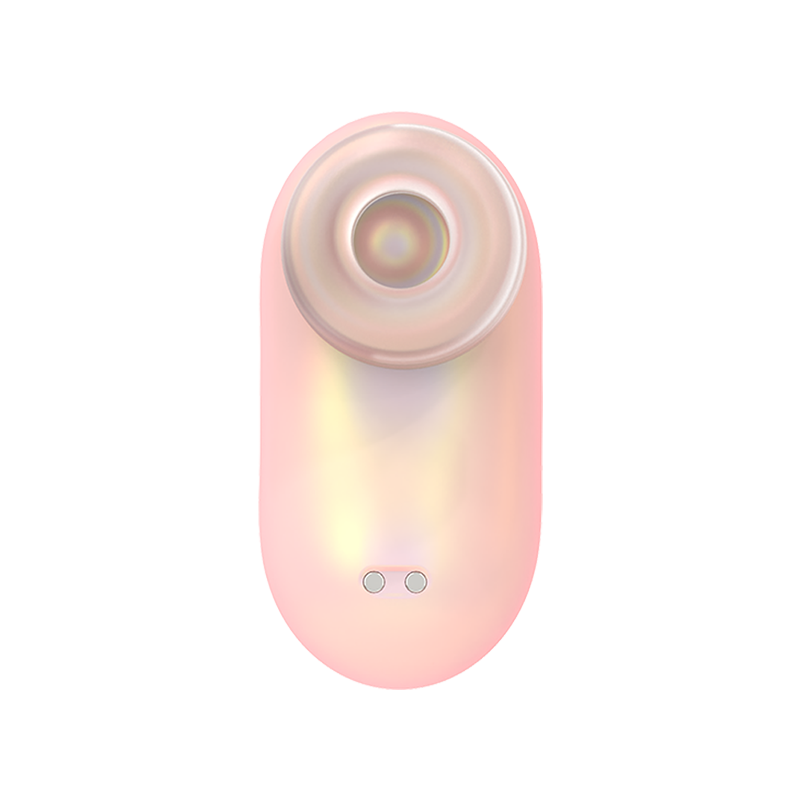 Mini suckulent